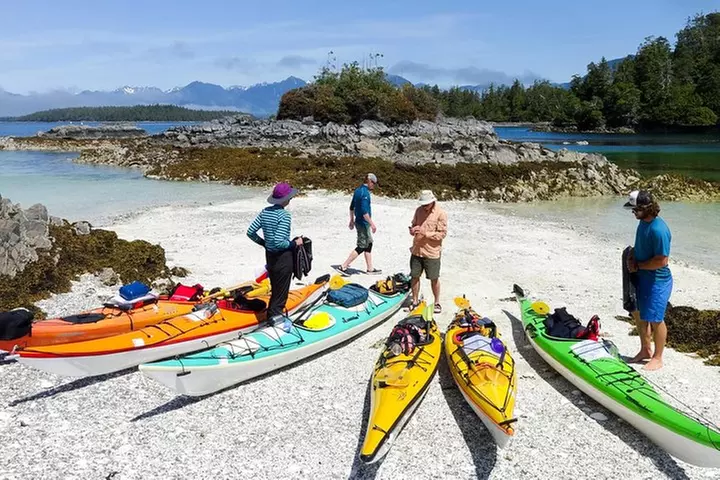 Small-Group Pacific Ocean Islands Kayak Tour - Primary Image
