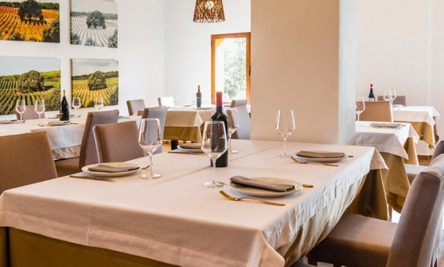 Image 12: Excursión por el viñedo de Valencia : Brunch rústico a la parrilla ...