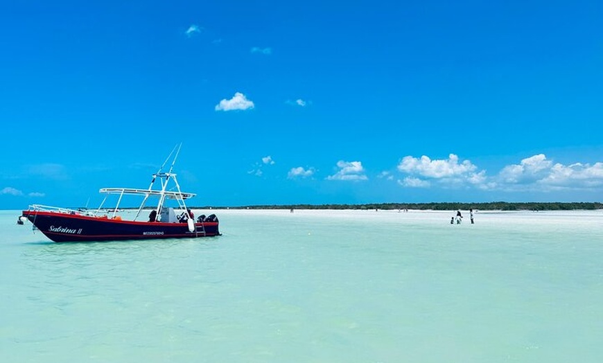 Image 15: Isla Holbox Day Tour from Cancun with Lunch Included