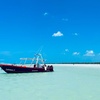 Image 15: Isla Holbox Day Tour from Cancun with Lunch Included