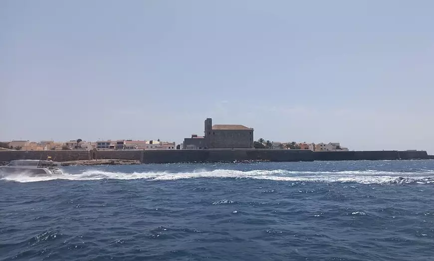 Image 4: Desde Alicante: Tabarca Santa Pola y Laguna Rosa de Torrevieja