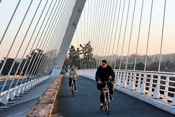 Visite guidée à vélo de Strasbourg Sightseeing Kehl - Primary Image