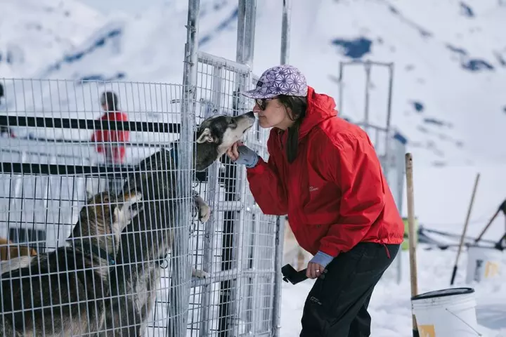 Anchorage Summer Glacier Dogsledding Tour