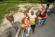 Zoo Miami Ticket with Optional Upgrade - Second Medium