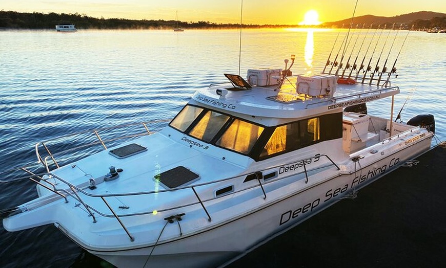 Image 4: Noosa Whale Watching Tours