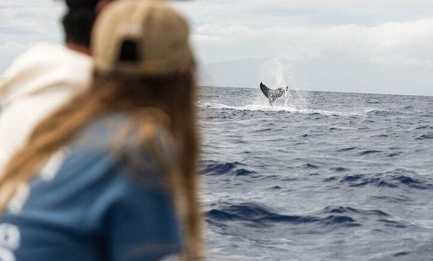 Image 4: Maui Eco-Raft Tour: Hawaiian Cultural Whale Tour (*New)