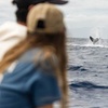 Image 4: Maui Eco-Raft Tour: Hawaiian Cultural Whale Tour (*New)