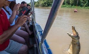 Spectacular Jumping Crocodile...