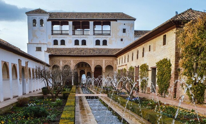 Image 5: Tour privado: Palacios de la Alhambra y Nazarí - Viaje en el Tiempo