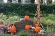Smokies, S'mores, Mulled Wine and Fall Fun at Kelowna Winery - Second Medium