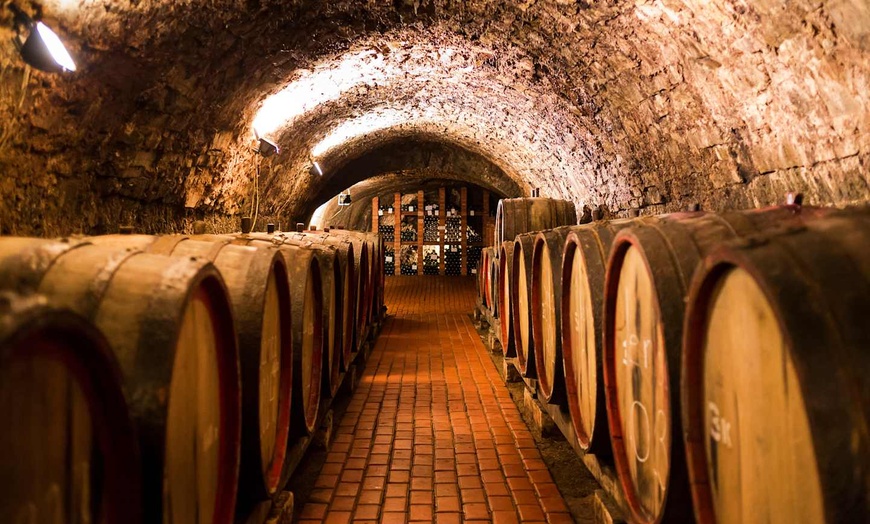 Image 9: ✈ PORTUGAL | Porto - Le Douro, joyau inépuisable et traditions ance...