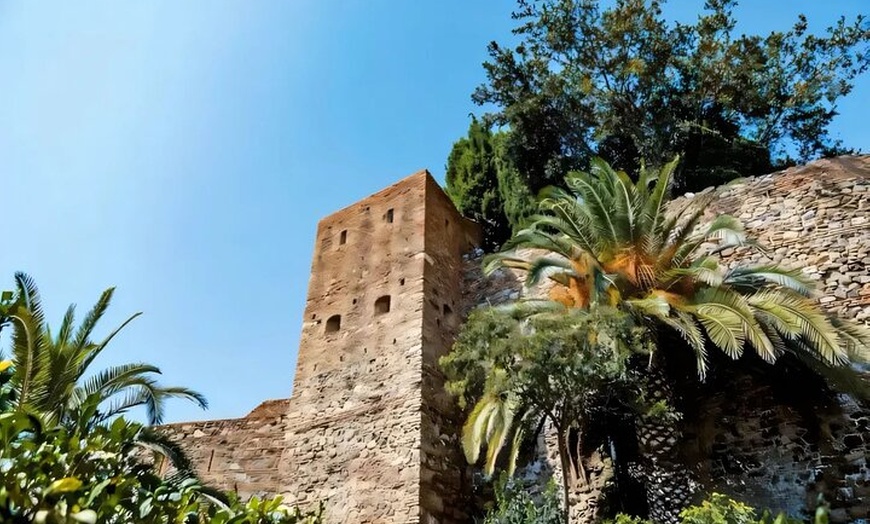 Image 8: Tour a pie por Gibralfaro y Alcazaba Málaga