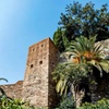 Image 8: Tour a pie por Gibralfaro y Alcazaba Málaga
