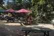 North Shore Foodie Fun: Eat, Explore, Enjoy (Incl. Dole) - Second Medium