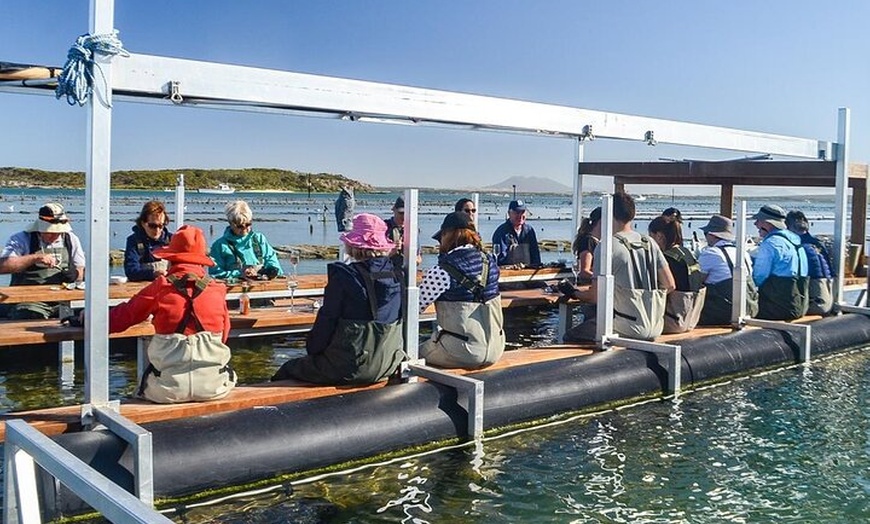 Image 1: Oyster Farm Tour with Hotel Pick-up and return from Port Lincoln