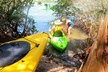 Kayaking the Canals of Venice, FL - Second Medium