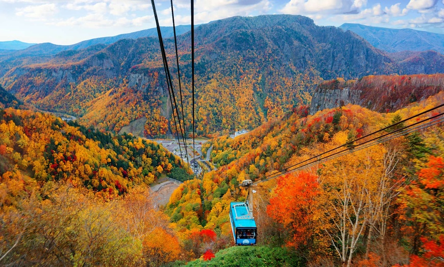 Image 21: ✈ JAPON | De Sapporo à Tokyo - A la découverte de Hokkaido 3* - Cir...