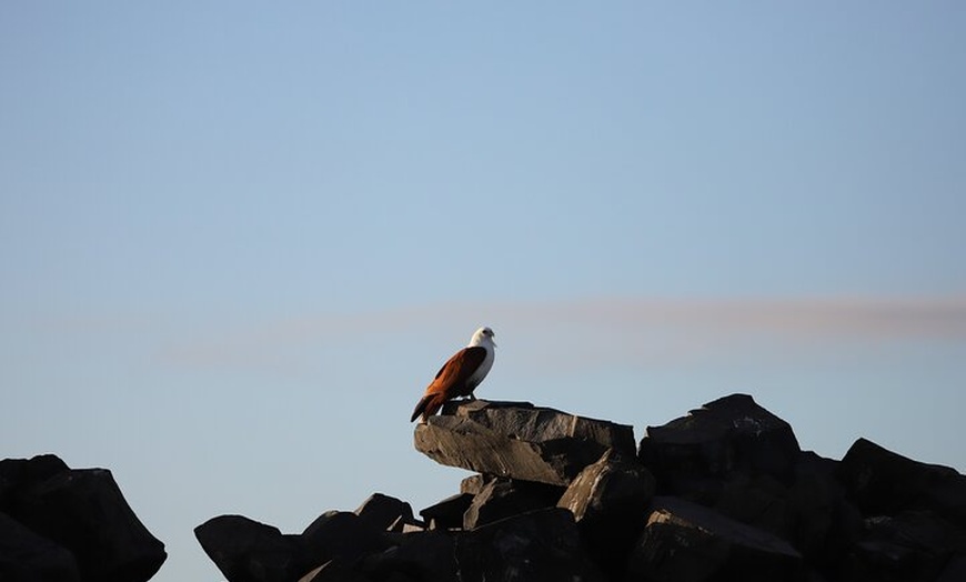 Image 6: Great Sandy Straits Seven Island Ultimate Wildlife Cruise