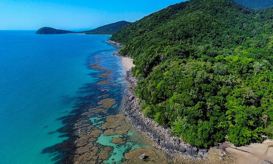 Image 25: Private Guided Tour in Port Douglas and Surrounds