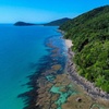 Image 25: Private Guided Tour in Port Douglas and Surrounds