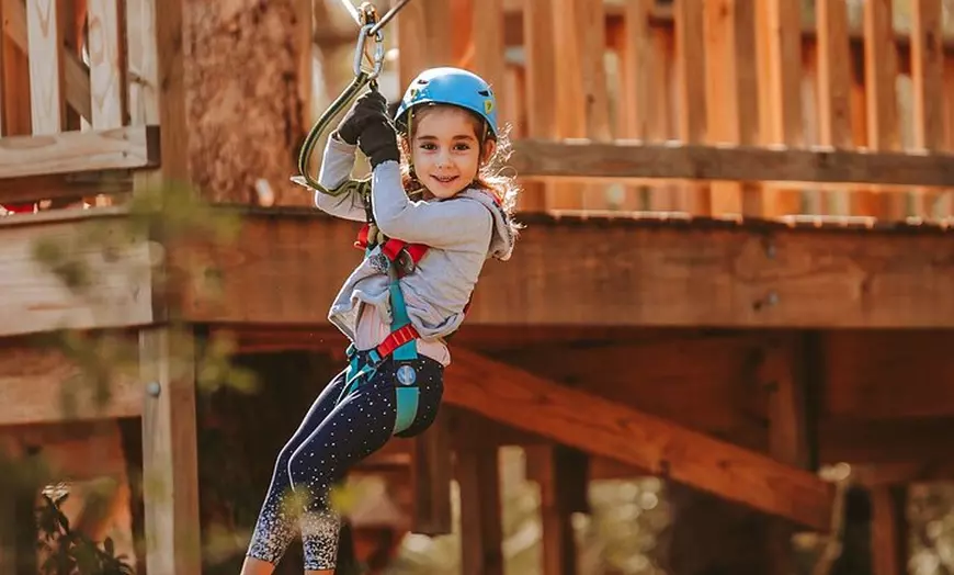 Image 8: Lane Poole Park Dwellingup - Junior Tree Ropes & Ziplining