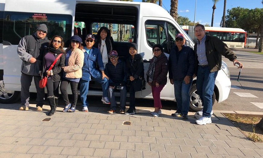 Image 8: Excursión privada de medio día a Elche desde Alicante