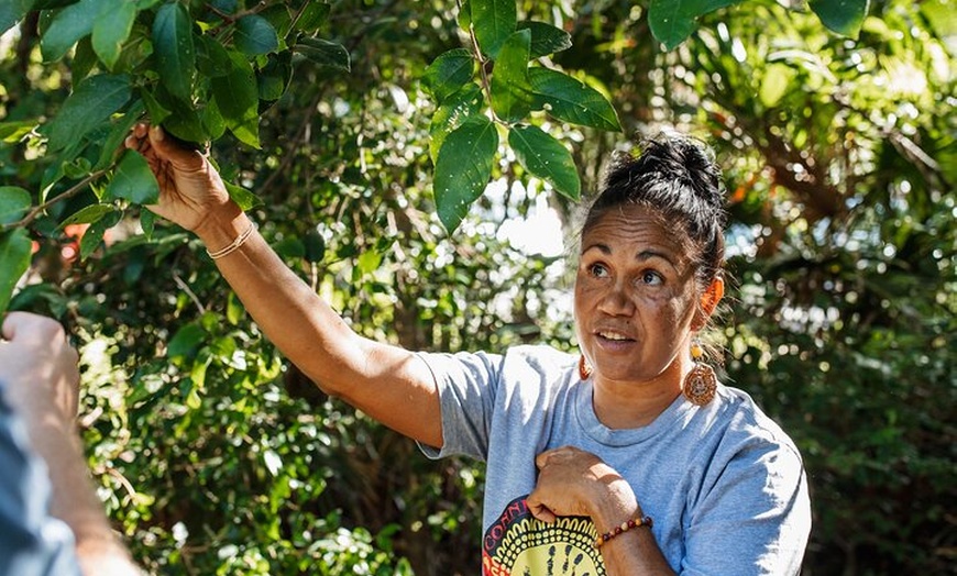 Image 4: Byron Bay Lighthouse Aboriginal Tour