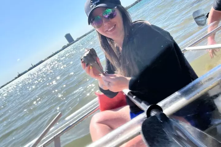 Clear Kayak Glass Bottom Day Tour - Anna Maria Island