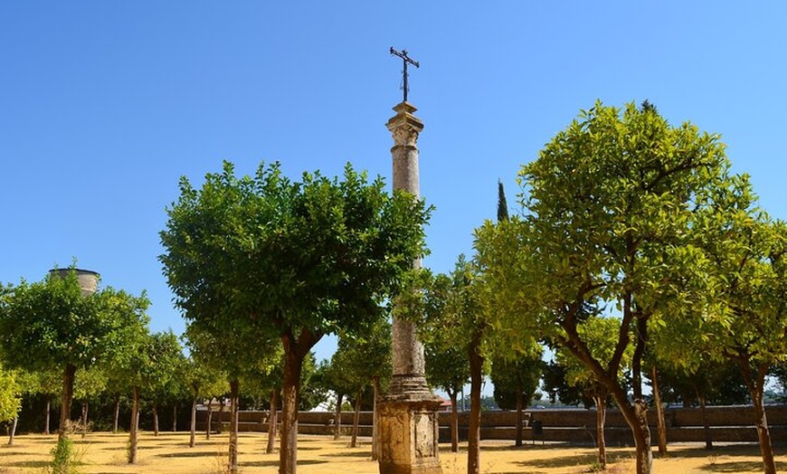 Image 7: Visita Guiada al Monasterio de San Isidoro del Campo