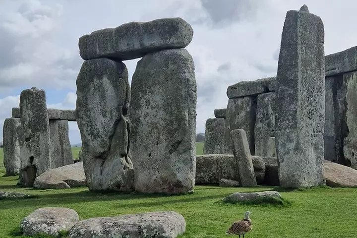 Stonehenge Private Tour from London - Image 6