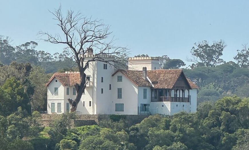 Image 2: Excursión de un día a Marruecos desde Málaga Todo incluido