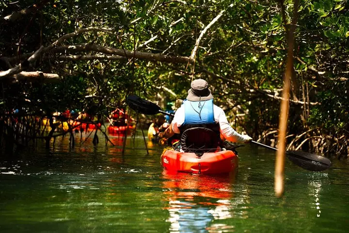 Key West Sandbar Charter With Kayak Tour: Includes Lunch & Drinks