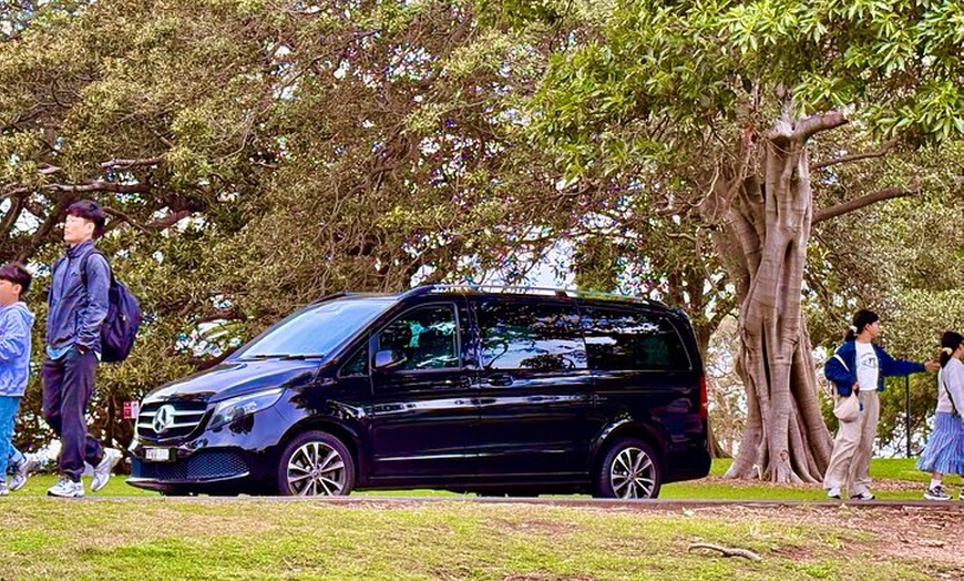 Image 7: Blue Mountains Private Sightseeing Day Tours from Sydney