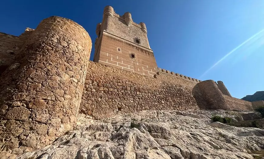 Image 14: Bodega Premium con 7 Catas y Castillo desde Alicante y Benidorm