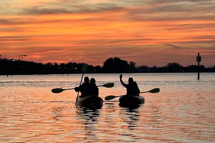 Sunset Kayaking with Dolphins