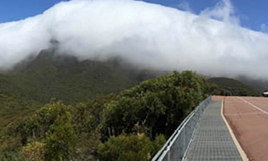 Image 5: Southern Experience 3 Day Tour