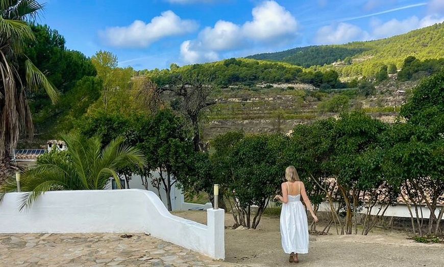 Image 6: Alicante : Catas de Vinos & Tapas Privadas en 2 Bodegas Boutique