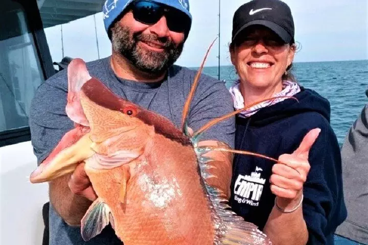 Half Day Fishing Experience from John's Pass in Madeira Beach, FL -...