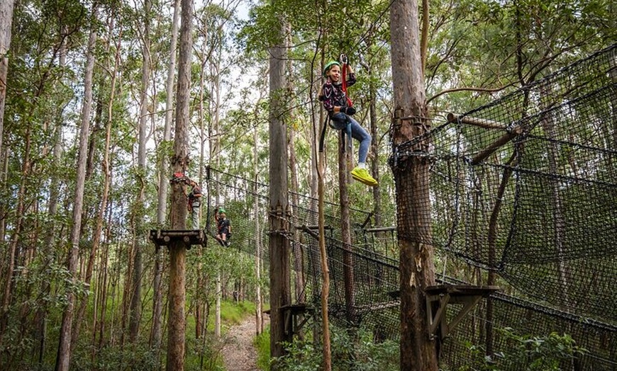 Image 8: Treetop Challenge Adrenaline Pass