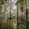 Image 8: Treetop Challenge Adrenaline Pass