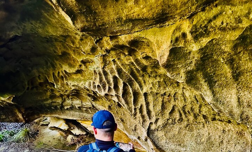 Image 6: Trek Shoot and Soothe Hiking Tour from Springwood Blue Mountains
