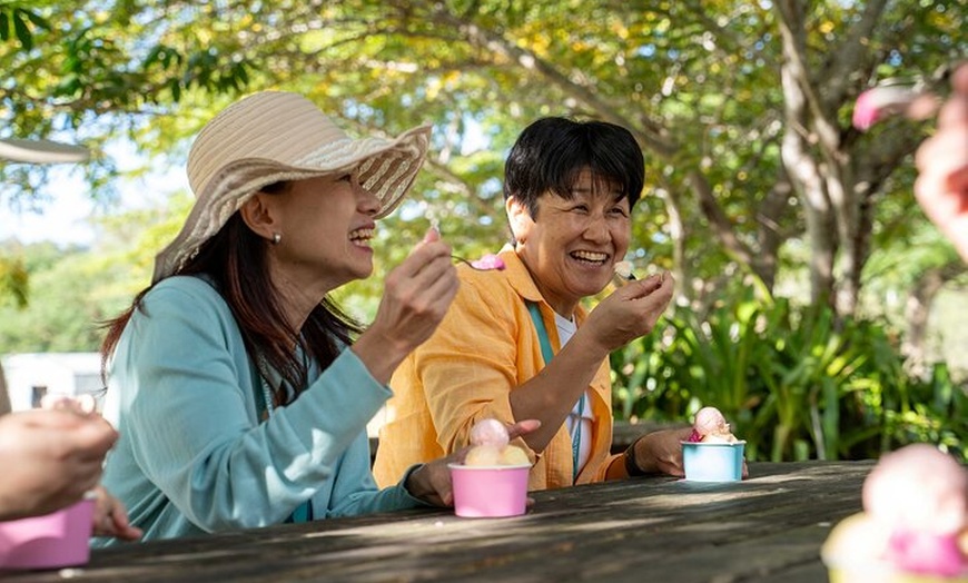 Image 6: Cairns: Waterfall, Wetlands & Kuranda Scenic Rail All Inclusive