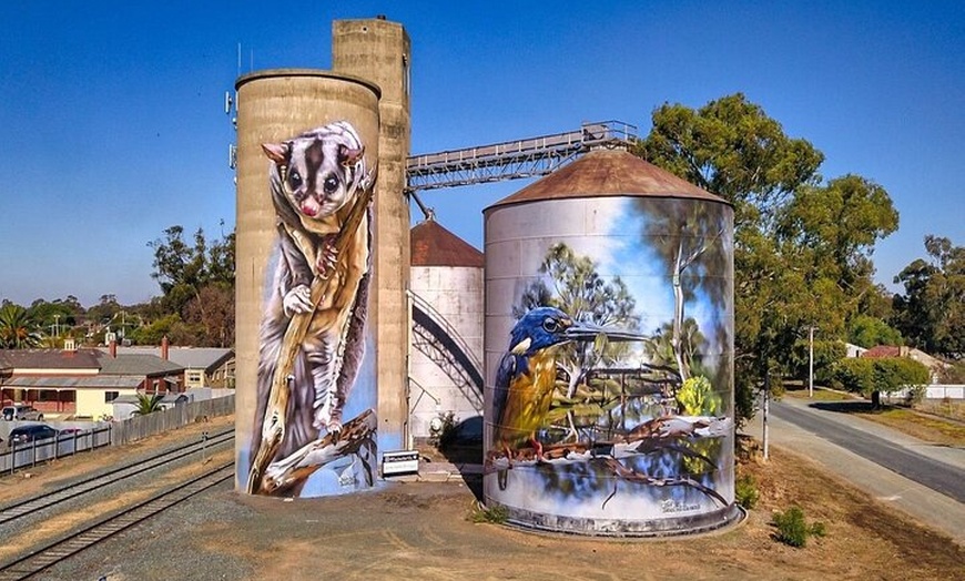 Image 3: Small-Group Murray River Adventure - Paddle Steamer & Wildlife