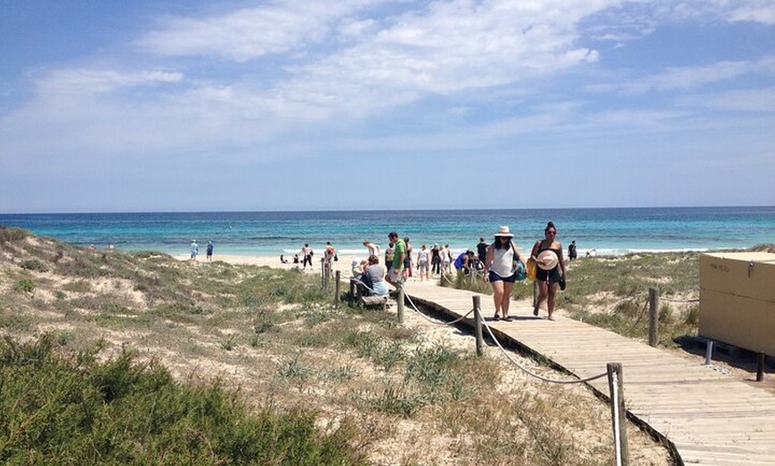 Image 10: Ibiza Excursión a Formentera en Bici con Traslado y Fast Ferry