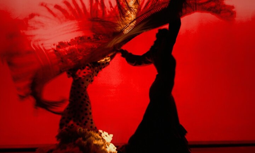 Image 15: Entrada al espectáculo flamenco en el Teatro Ayuntamiento de Barcelona