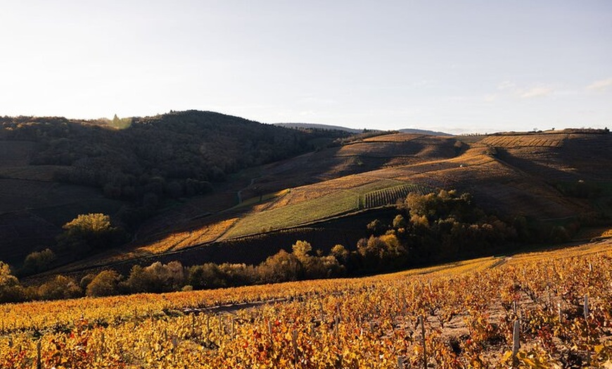 Image 3: Excursion privée d'une journée de vin d'hiver dans le Beaujolais et...