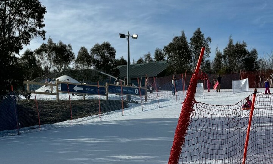 Image 4: Melbourne: Ultimate Mt Baw Baw Snow Private Tour Experience.