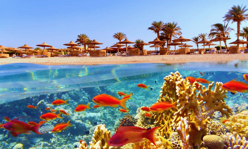 Image 2: ✈ EGYPTE | Du Caire à Hurghada - Farniente et découverte en Egypte ...