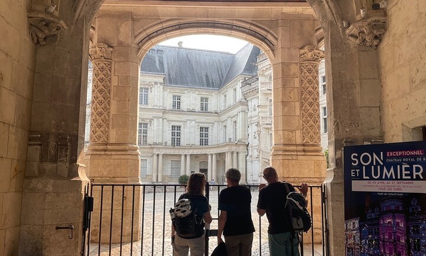 Image 21: Excursion d'une journée aux châteaux de Loire – Privé et personnali...