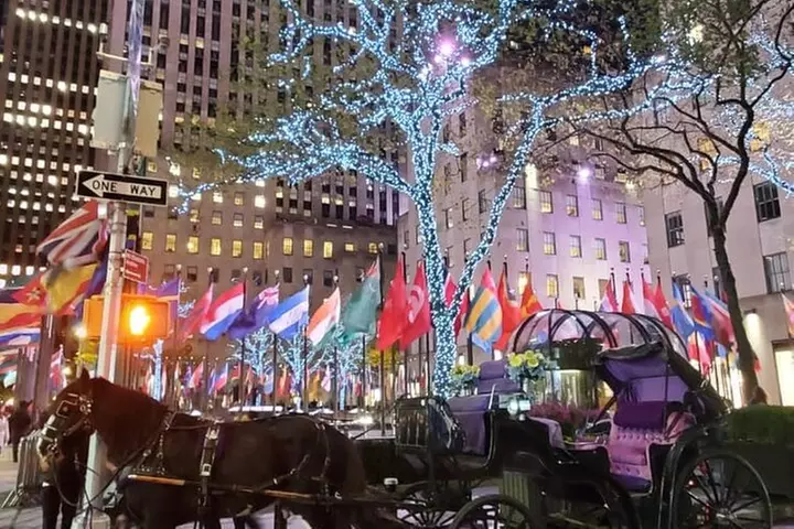 New York City Christmas Lights Private Horse Carriage Ride - Second Medium